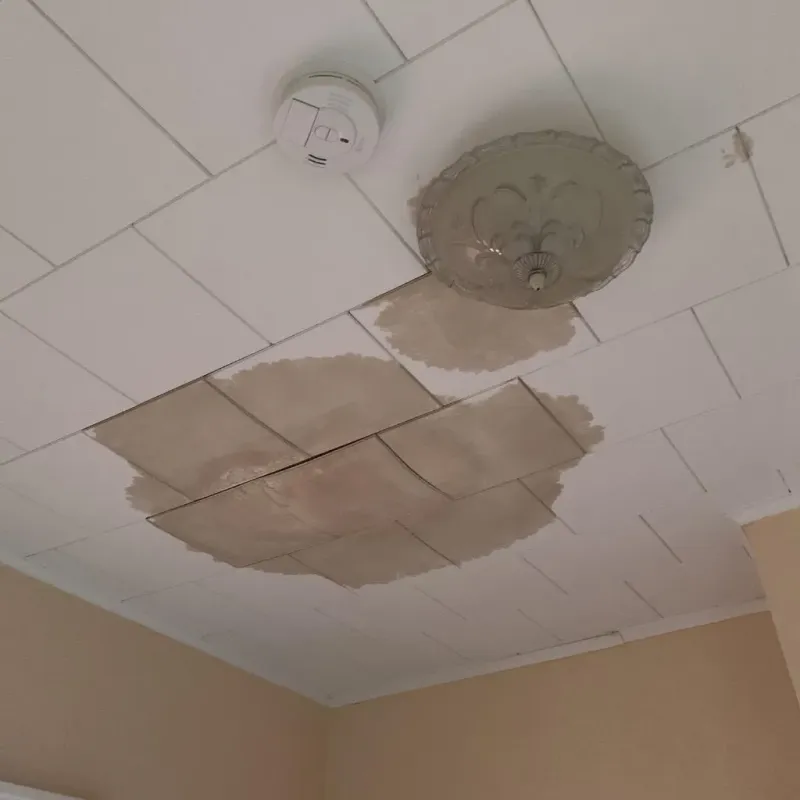 Ceiling Water Damage Repair in Beckett Ridge, OH