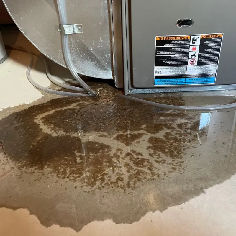Pipe Burst and Leak Restoration in Beckett Ridge, OH