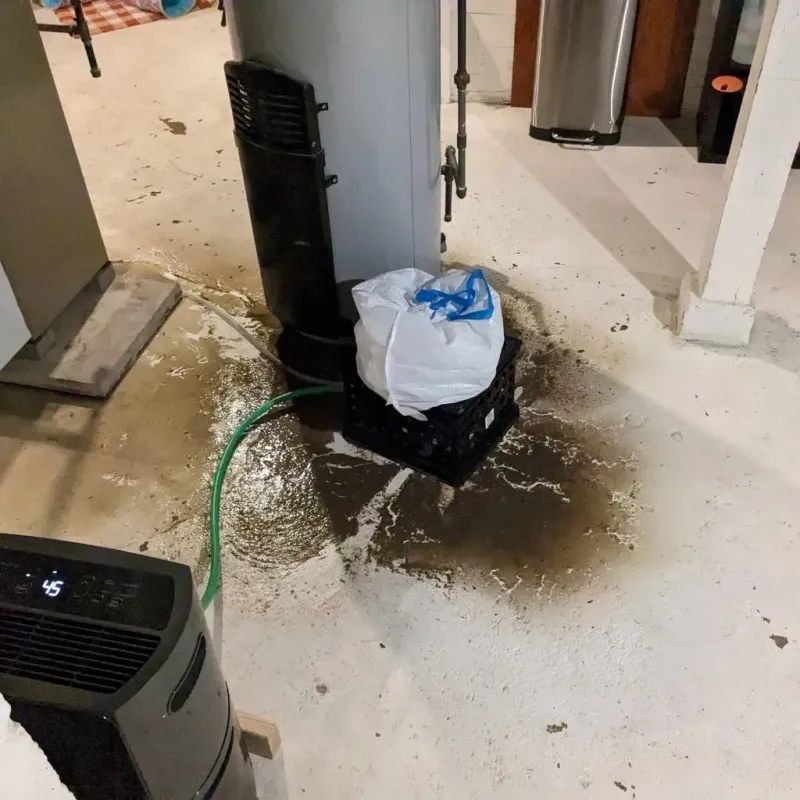 Sewage Backup Cleanup Service in Beckett Ridge, OH